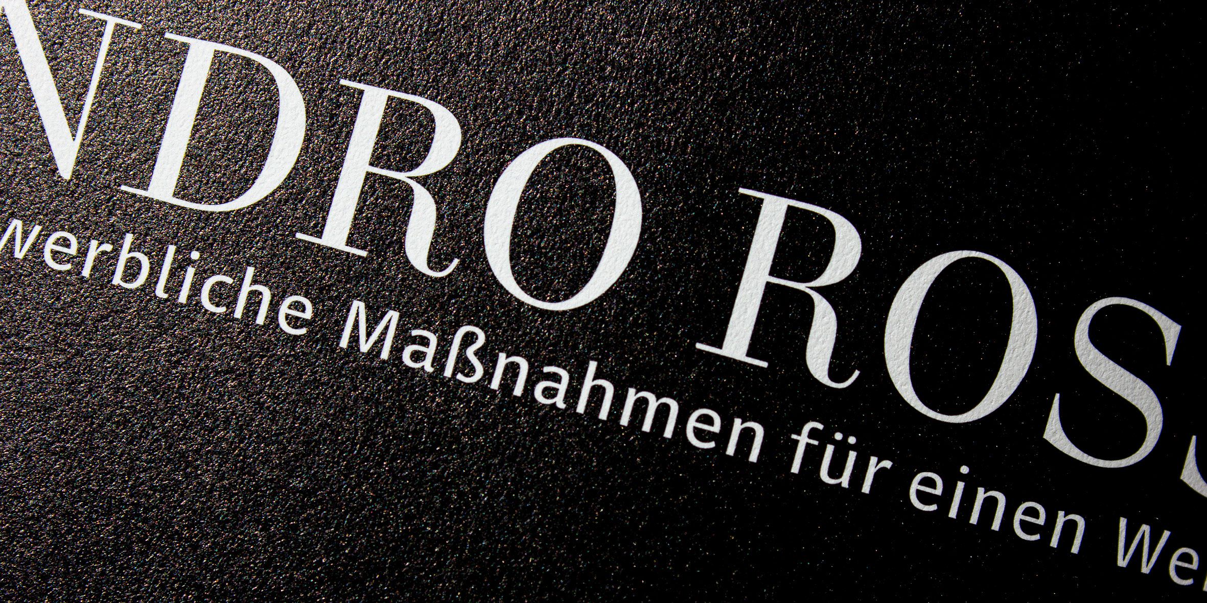 Anwendungsbeispiel Arccus Didone mit Arccus Sans