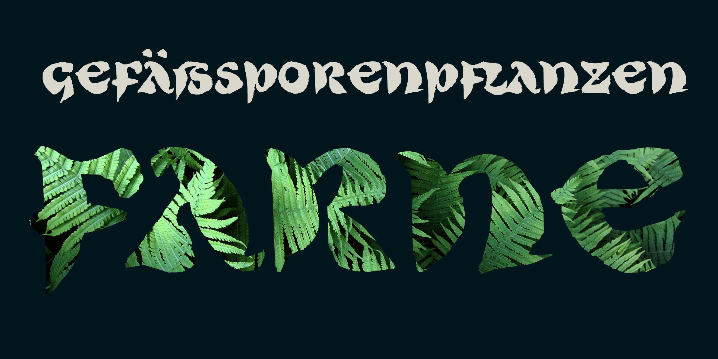 Poster: Illustrative Darstellung der Wörter 